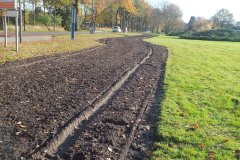 Bloemenlint05